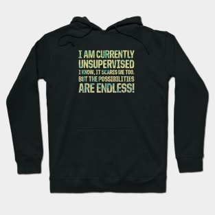 I'm Currently Unsupervised Endless Possibilities Hoodie